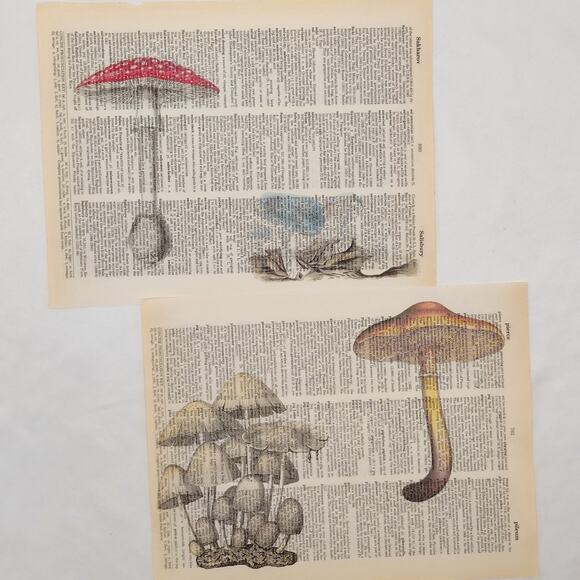 Mushroom Dictionary Prints, Colorful Mushroom Prints, Book Page Prints - Picture 3 of 6